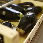 팜스테이 Ca' Del Ciuco Vezzano sul Crostolo