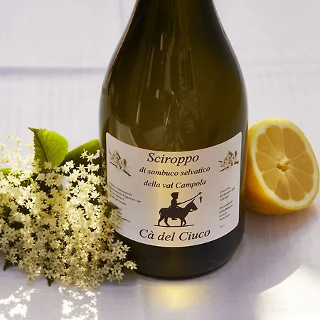 Ca' Del Ciuco ファームステイ Vezzano sul Crostolo