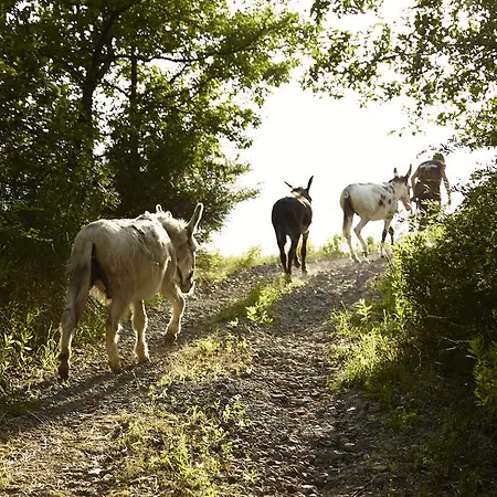 Ca' Del Ciuco Vezzano sul Crostolo