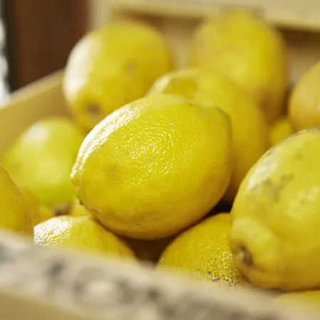 Ca' Del Ciuco Vezzano sul Crostolo