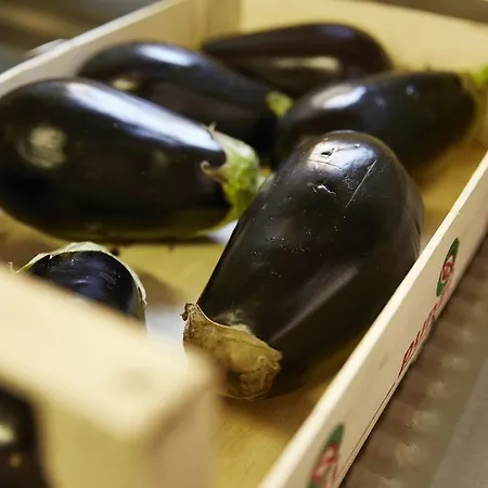 ファームステイ Ca' Del Ciuco Vezzano sul Crostolo