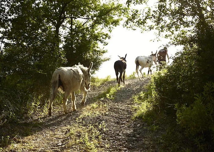 Ca' Del Ciuco Vezzano sul Crostolo
