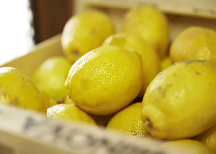 Ca' Del Ciuco Vezzano sul Crostolo