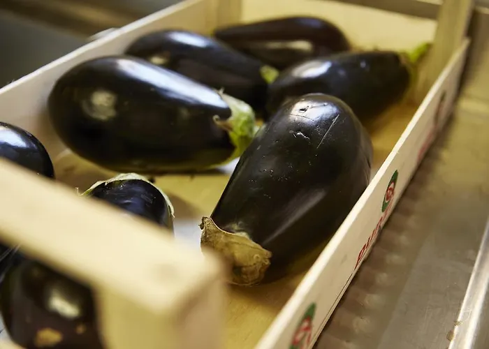 Farma Ca' Del Ciuco Vezzano sul Crostolo