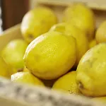 Ca' Del Ciuco Vezzano sul Crostolo